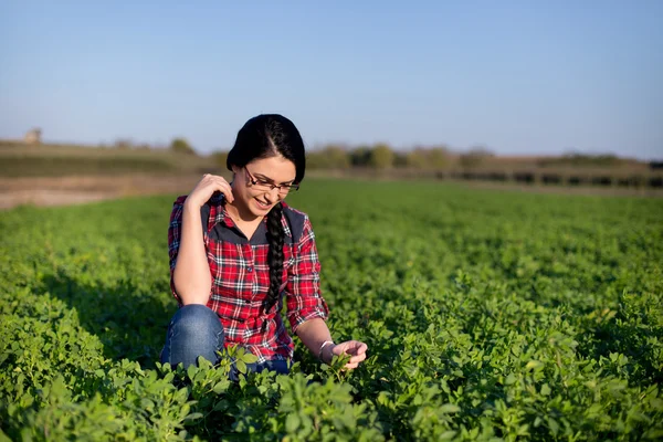 Farmer girl in lucerne field — Stock Photo, Image