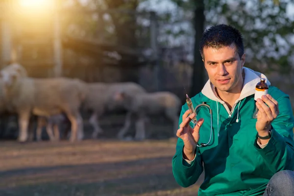 Veterinario con siringa in azienda — Foto Stock