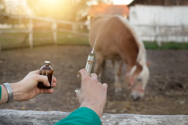 Veterinární lékař pomocí stříkačky na farmě — Stock fotografie