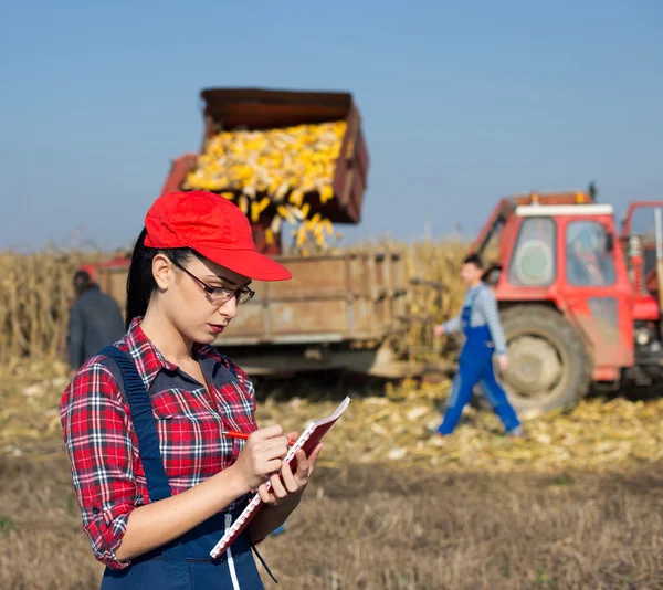 Vrouw in maïsveld — Stockfoto