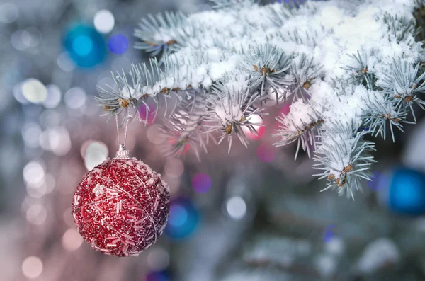 Christams decoration ball — Stock Photo, Image