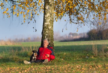 Komuta sizde ağaca yaslanmış çimenlerin üzerinde oturan köpek ile