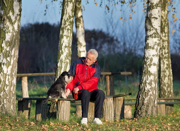 Старший мужчина с собакой в парке — стоковое фото