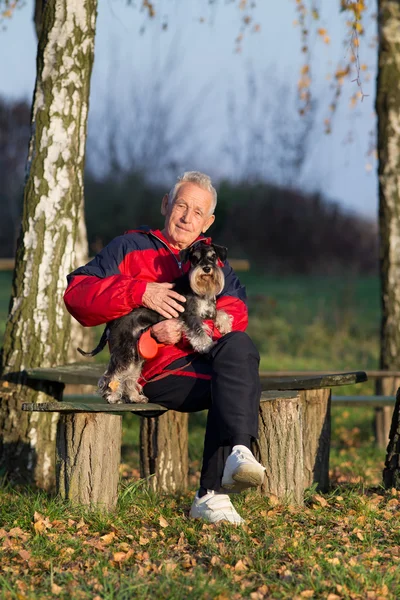 Старший мужчина с собакой в парке — стоковое фото