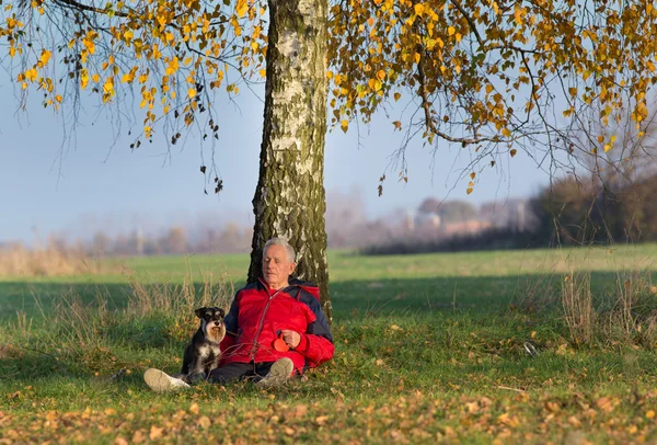 Hombre mayor con perro sentado en la hierba apoyada en el árbol —  Fotos de Stock