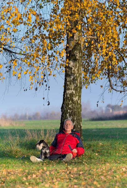 Senior man with dog sitting on grass leaning on tree — Stock Photo, Image