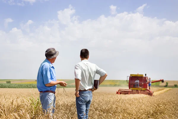 Geschäftspartner auf dem Weizenfeld — Stockfoto