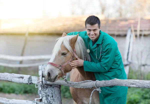 Dierenarts met paard — Stockfoto