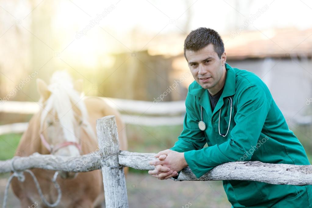 Veterinarian with pony horse