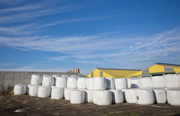 Ensilage in plastic foils — Stock Photo, Image