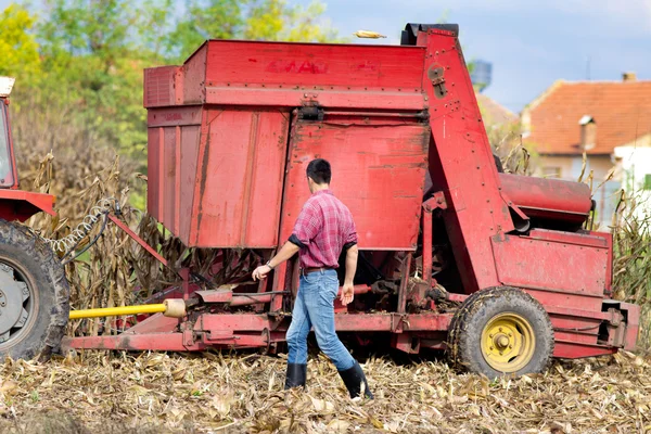 Landwirt auf Maisfeld — Stockfoto