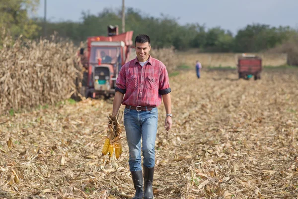 农夫在玉米田 — 图库照片