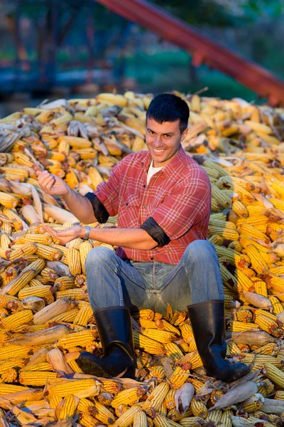 Farmer on corn pile — Stock Photo, Image