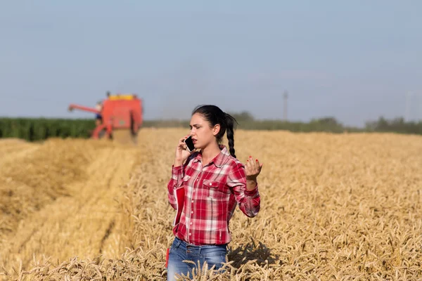 Mooie vrouw praten op mobiele telefoon in tarweveld — Stockfoto