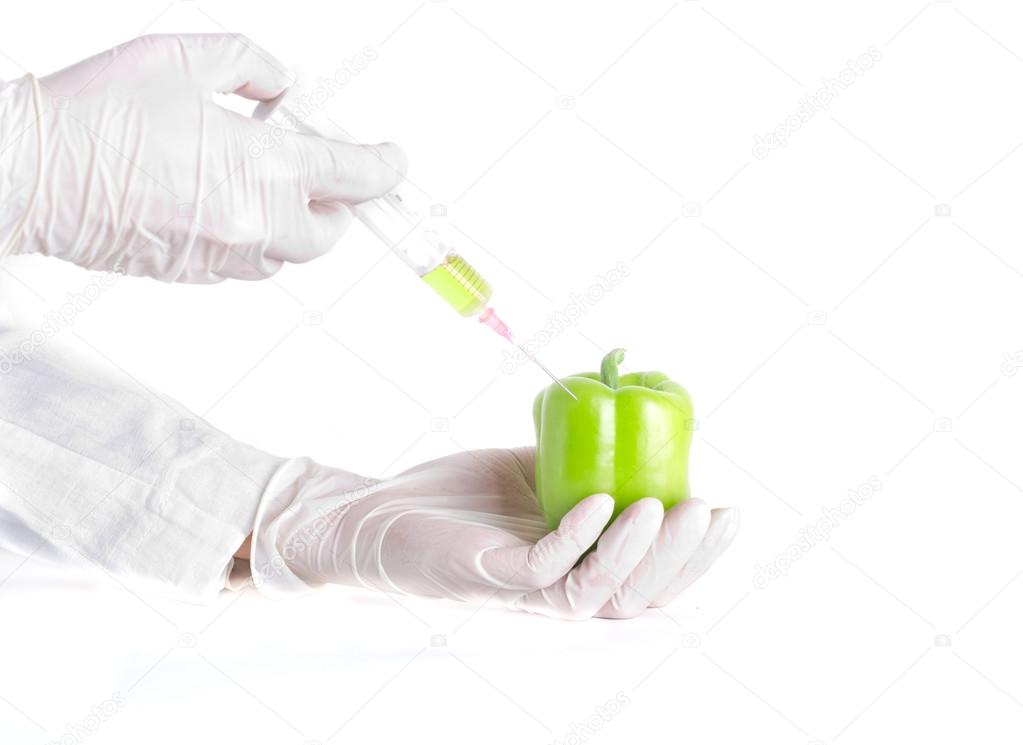 Scientist applying injection to pepper