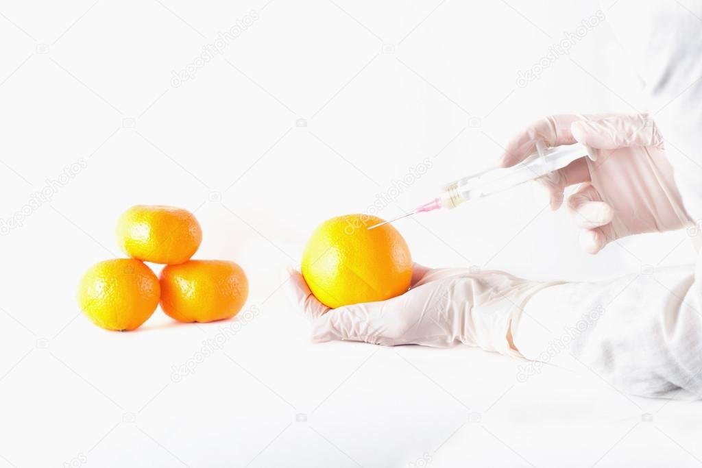 Scientist applying injection to fruit