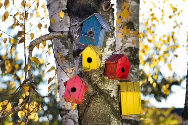 Casas de pássaros na árvore — Fotografia de Stock