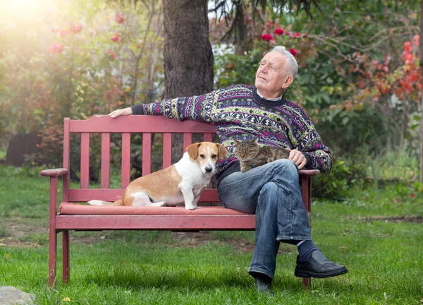 Senior homem com cães e gato — Fotografia de Stock