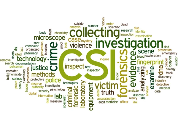 CSI, brottsplatsundersökning word cloud begrepp 7 — Stockfoto