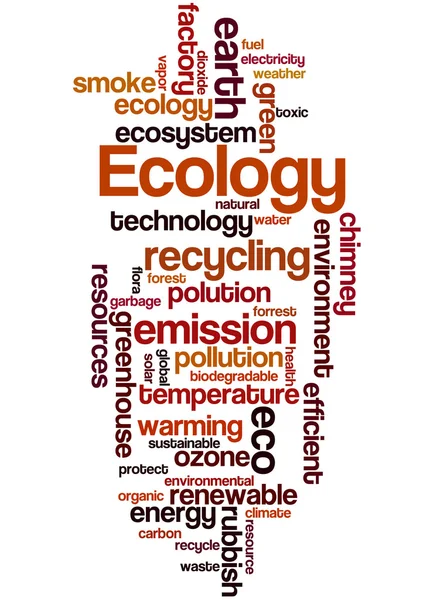 Ökologie, Wort Cloud-Konzept 2 — Stockfoto
