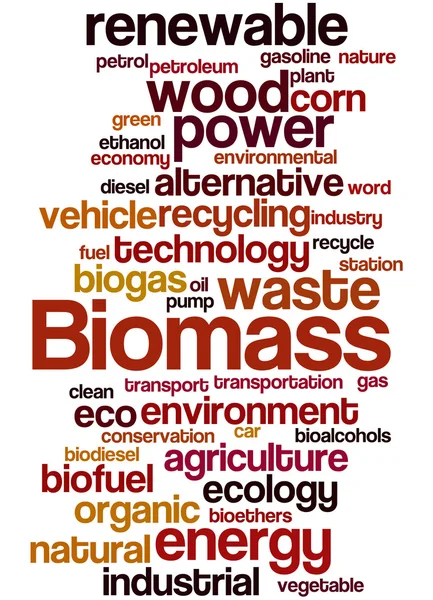 Biomass, word cloud concept 7 — Stock Photo, Image