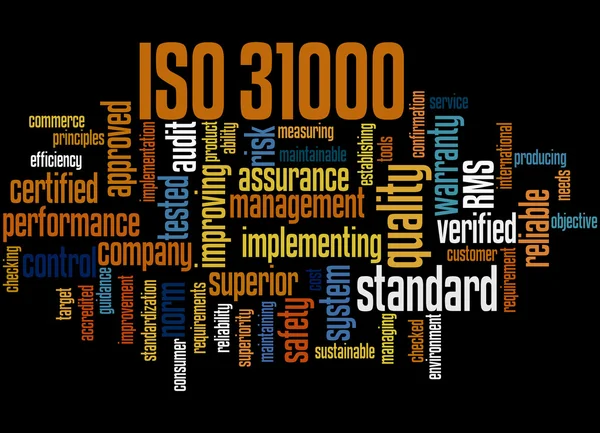 ISO 31000 - διαχείριση κινδύνων, λέξη έννοια σύννεφο 4 — Φωτογραφία Αρχείου