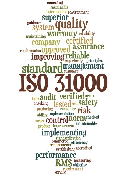ISO 31000 - διαχείριση κινδύνων, σύννεφο λέξη έννοια 7 — Φωτογραφία Αρχείου
