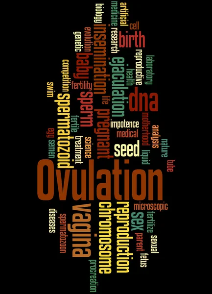 Ovulazione, concetto di nube di parole 8 — Foto Stock
