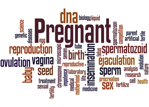 Ciąży, słowo cloud koncepcja 3 — Zdjęcie stockowe