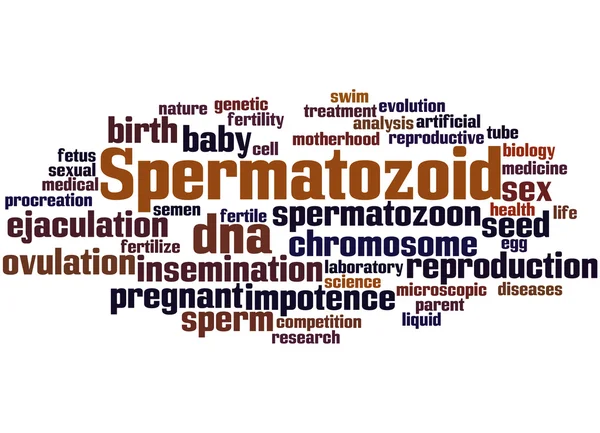 Сперматозоид, понятие облака слов 7 — стоковое фото