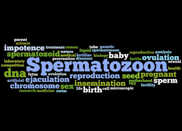 Сперматозон, концепция облака слов 7 — стоковое фото
