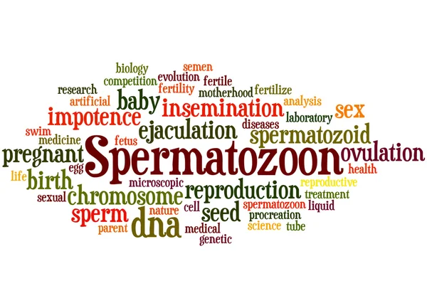 Сперматозон, концепция облака слов — стоковое фото