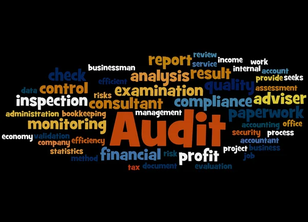 Audit, Word Cloud Konzept 2 — Stockfoto
