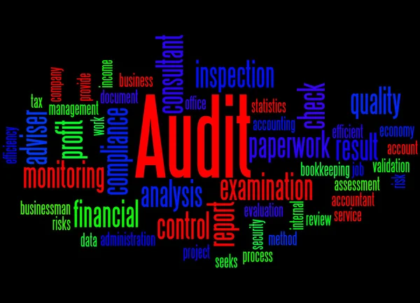 Audit, word cloud concept 6 — Stockfoto