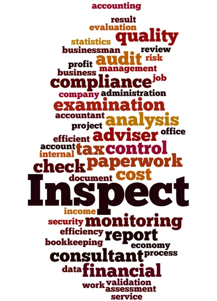 Inspecteren, word cloud concept 4 — Stockfoto