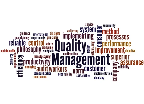 Zarządzania jakością, słowo cloud koncepcja 2 — Zdjęcie stockowe