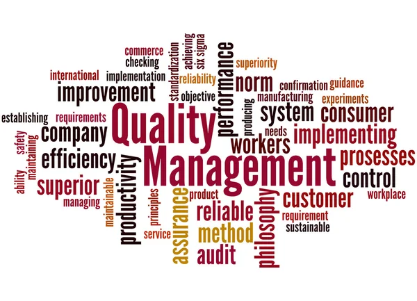 Zarządzania jakością, słowo cloud koncepcja 3 — Zdjęcie stockowe