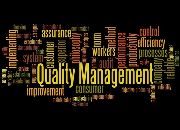 Quality Management, word cloud concept 5 — Stock Photo, Image