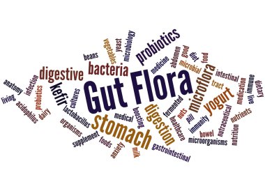 Gut Flora, word cloud concept clipart