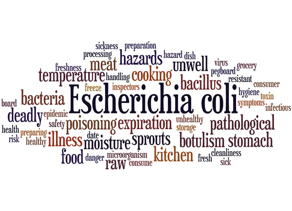 Escherichia coli, concepto de nube de palabras 8 —  Fotos de Stock