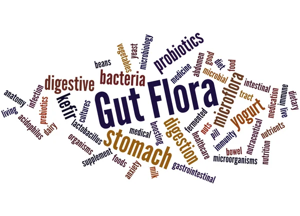 Gut Flora, concepto de nube de palabras — Foto de Stock