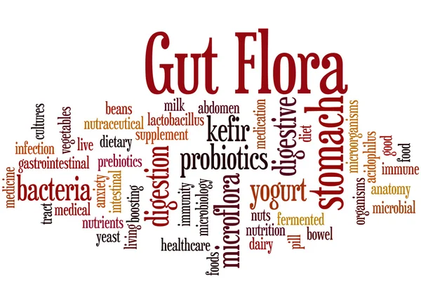 Flora intestinal, concepto de nube de palabras 2 —  Fotos de Stock