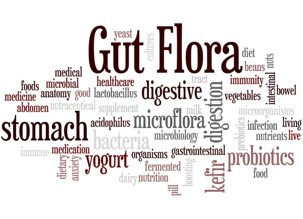 Flora intestinal, concepto de nube de palabras 3 — Foto de Stock