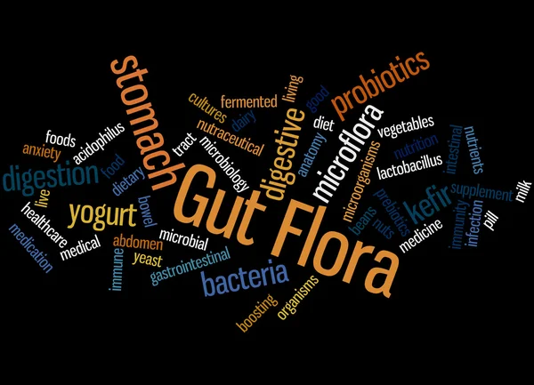 Flora intestinal, concepto de nube de palabras 5 —  Fotos de Stock