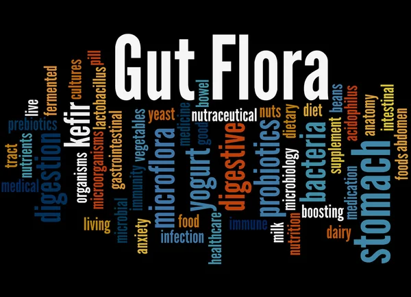 Flora intestinal, concepto de nube de palabras 7 —  Fotos de Stock
