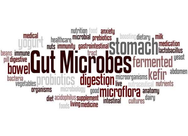 Microbios intestinales, concepto de nube de palabras 2 —  Fotos de Stock