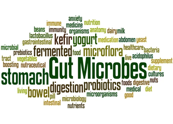 Microbios intestinales, concepto de nube de palabras 3 —  Fotos de Stock