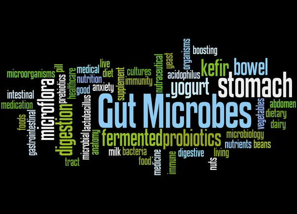 Microbios intestinales, concepto de nube de palabras 5 — Foto de Stock