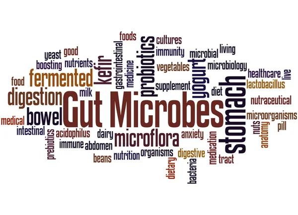 Microbios intestinales, concepto de nube de palabras 7 — Foto de Stock