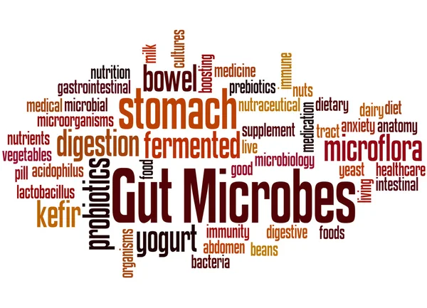 Microbios intestinales, concepto de nube de palabras 9 — Foto de Stock